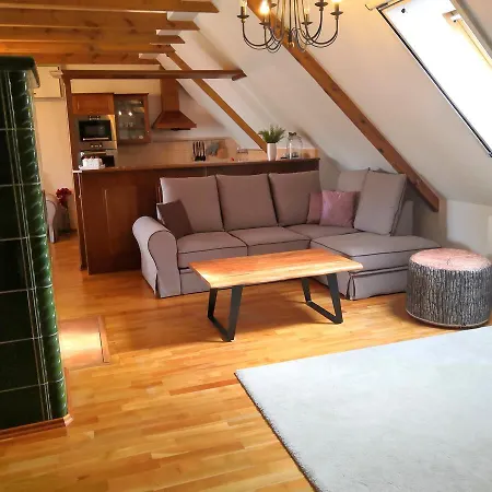 Historicky Dum U Lazni Apartament