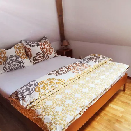 Apartament Historicky Dum U Lazni *