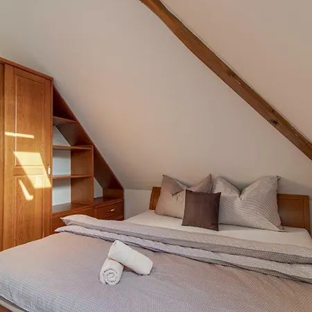 Historicky Dum U Lazni Apartament *